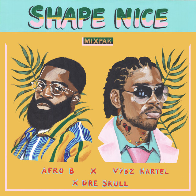 'Shape Nice' cover art