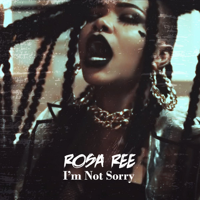'I'm Not Sorry' cover art