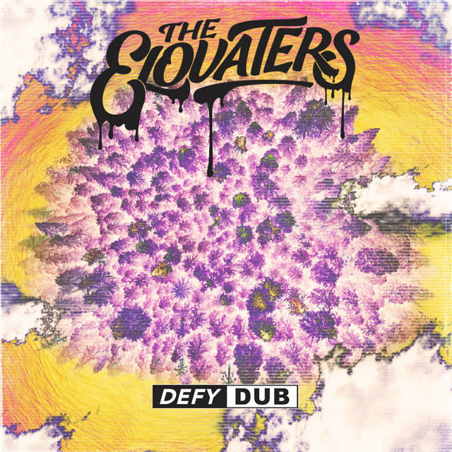 'Defy Dub' cover art