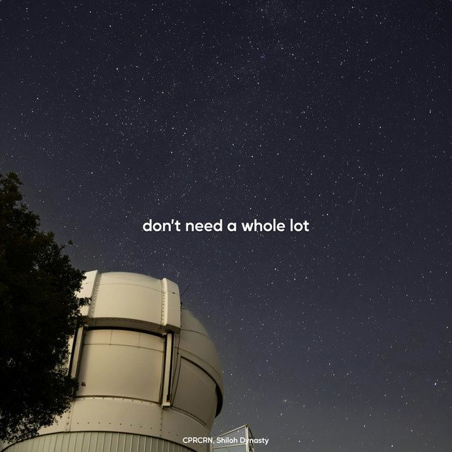 'don't need a whole lot - Slowed and Reverb' cover art