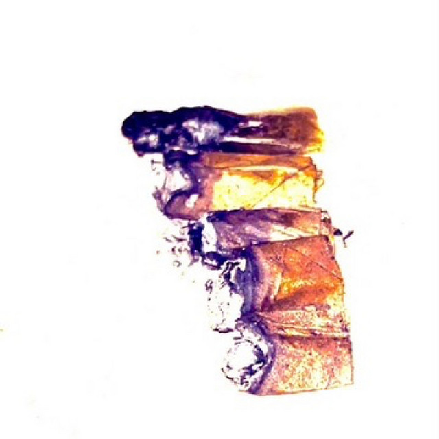 'roaches' cover art