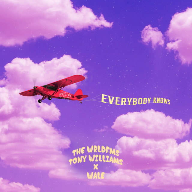 'Everybody Knows' cover art