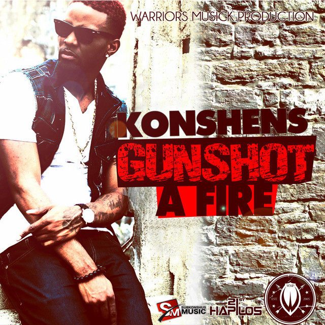 'Gun Shot a Fire' cover art