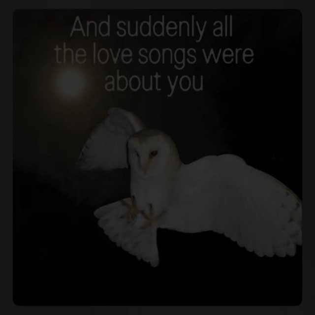 'in the end will you remember me' cover art