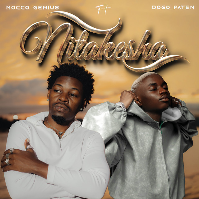 'Nitakesha (feat. Dogo Paten)' cover art