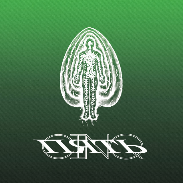 'Braided Leaves (Visages Remix)' cover art