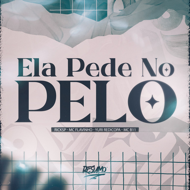 'ELA PEDE NO PELO' cover art