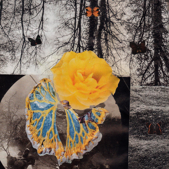 'Calle Dolor' cover art