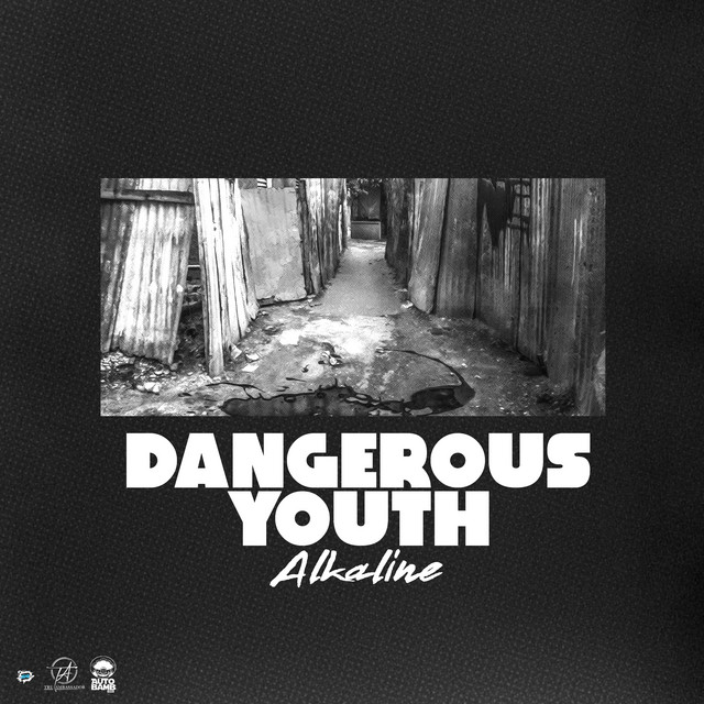 'Dangerous Youth' cover art
