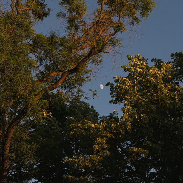 'summer rain' cover art