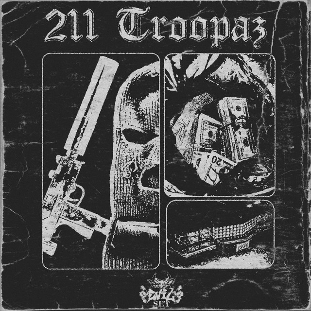 '211 TROOPAZ' cover art