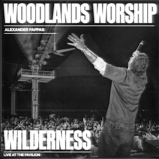 'Wilderness (Live)' cover art