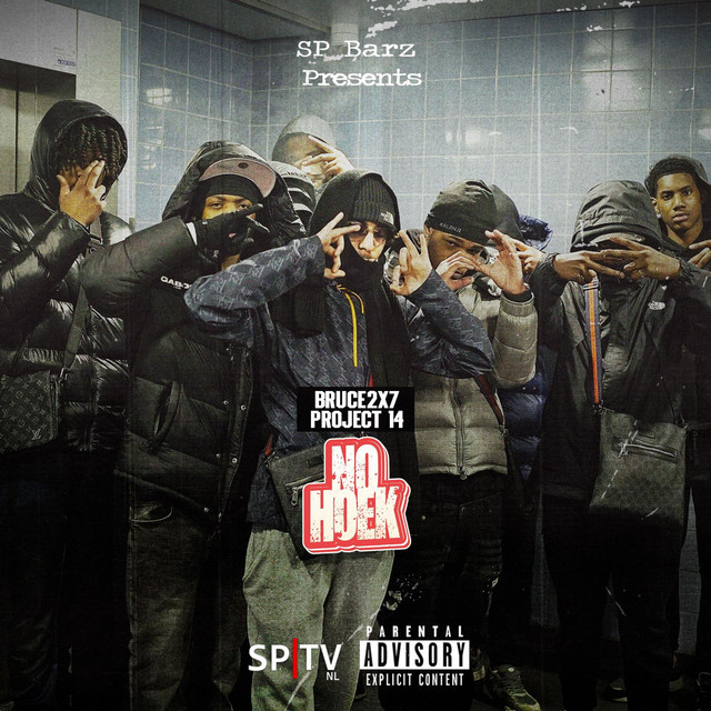 'Project 14 (No Hoek)' cover art