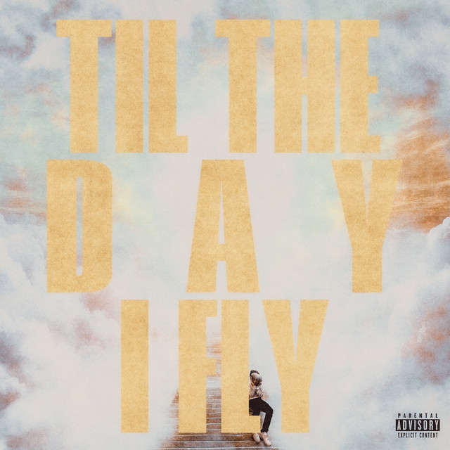 'til the day i fly' cover art