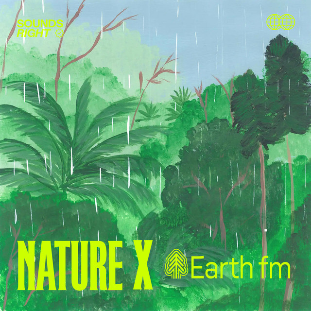 'Rain in the Andean Amazonia' cover art