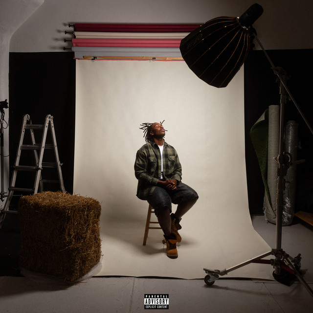 'pogo' cover art
