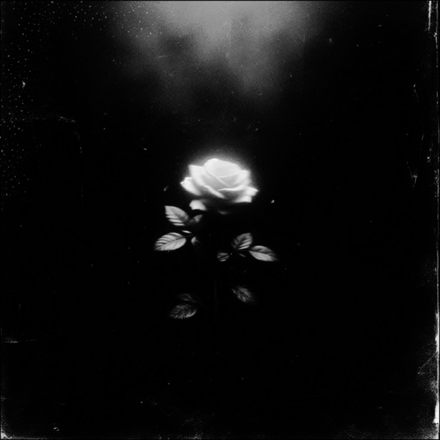 'insomnia' cover art
