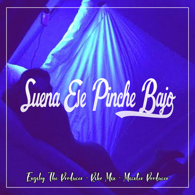'Suena Ese Pinche Bajo' cover art