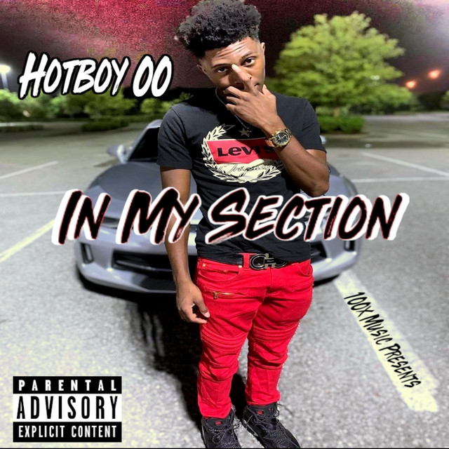 'In My Section' cover art