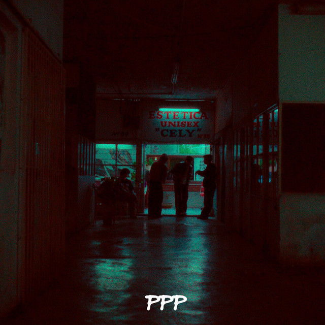'PUÑOS PULSERAS Y PALETAS' cover art