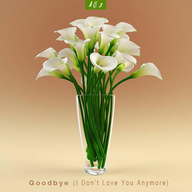 'Goodbye (with So Sus)' cover art