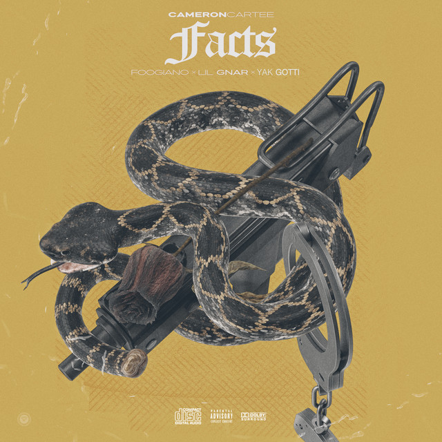 'Facts' cover art