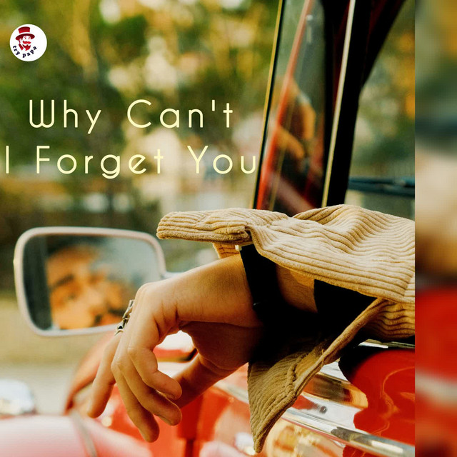 'Why Cant I Forget You' cover art