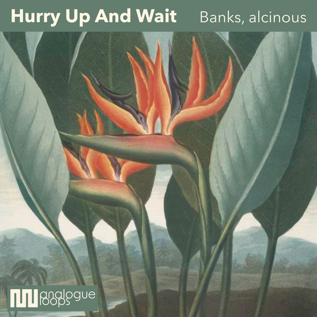 'Hurry Up And Wait' cover art