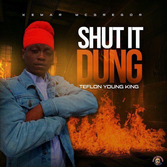 'Shut It Dung' cover art