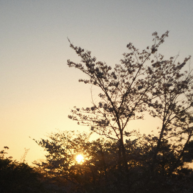 'Kyoto Sunsets' cover art