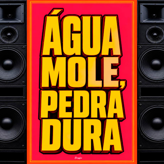 'Água Mole, Pedra Dura' cover art