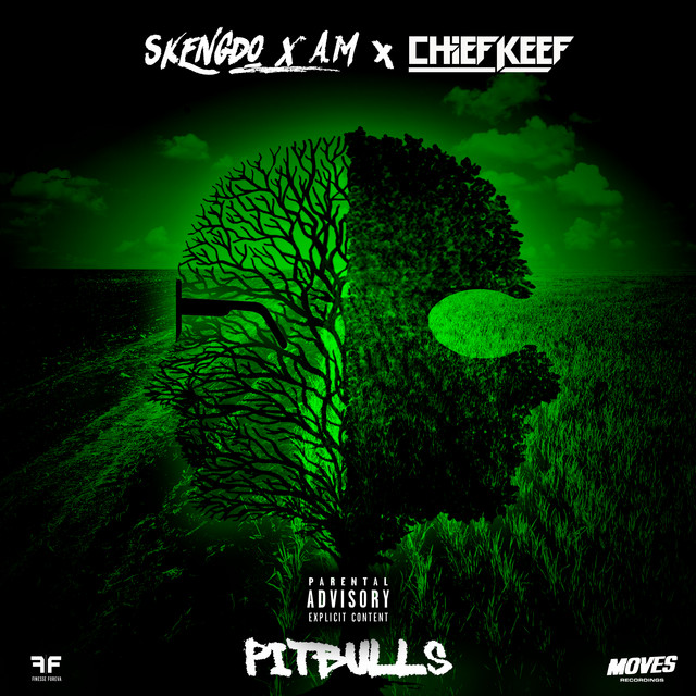 'Pitbulls' cover art