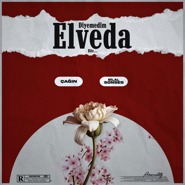 'Diyemedim Elveda' cover art