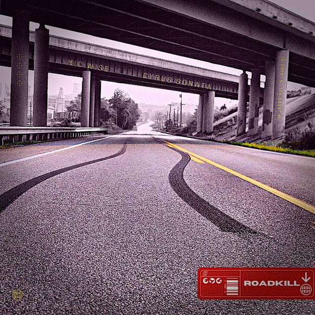 'Roadkill' cover art