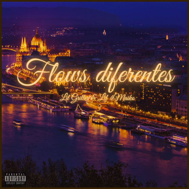 'FLOWS DIFERENTES' cover art