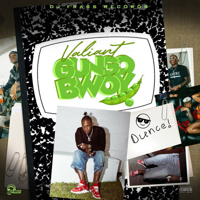 'Gungo Bwoy' cover art