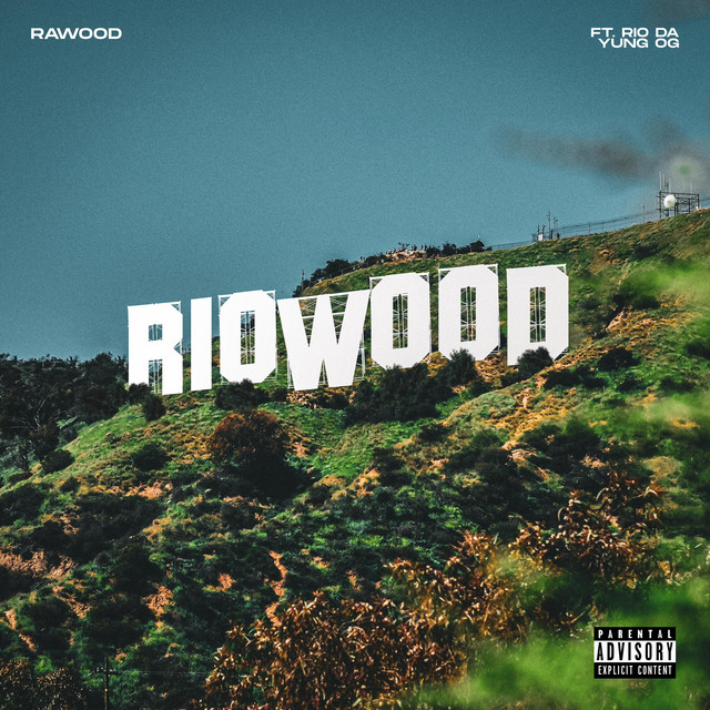 'RioWood' cover art