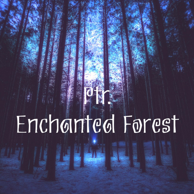 'Enchanted Forest' cover art