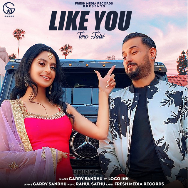 'Like You (Tere Jaisi)' cover art