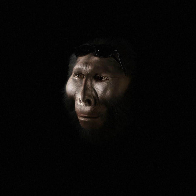 'HOMINID' cover art