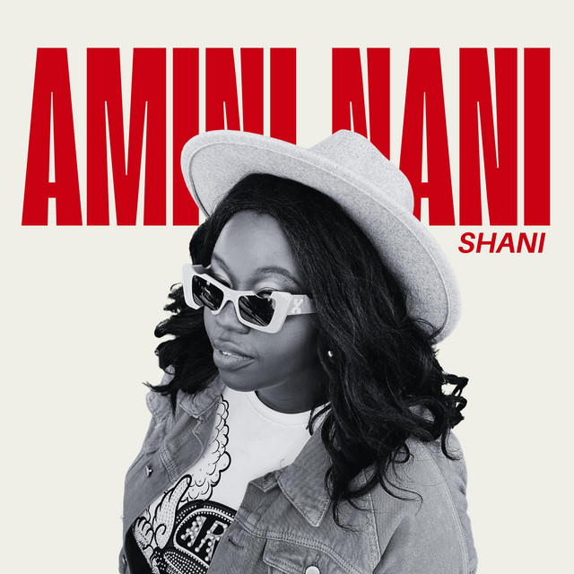 'Amini Nani' cover art