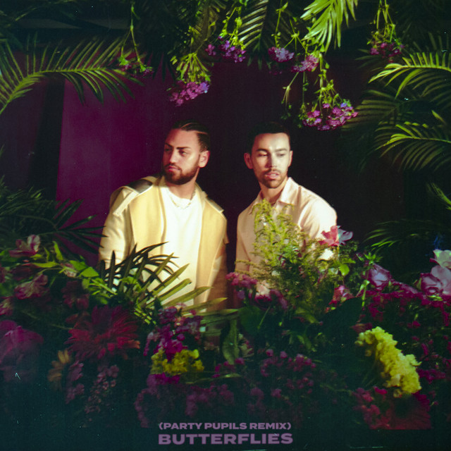 'Butterflies (Party Pupils Remix)' cover art