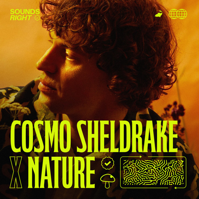 'Soil (feat. NATURE)' cover art