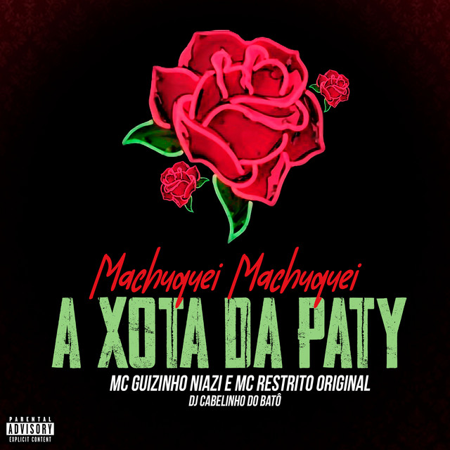 'Machuquei Machuquei, a Xota da Paty' cover art