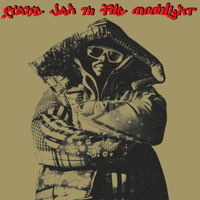 'Praise Jah In The Moonlight (Radio Edit)' cover art