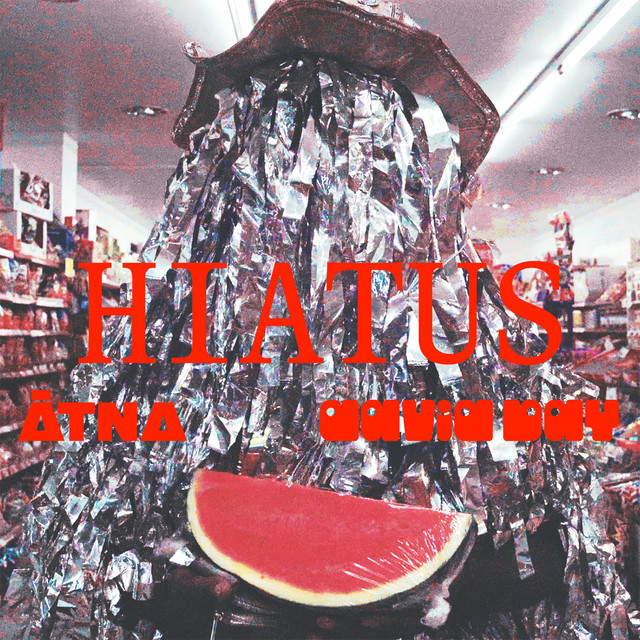 'Hiatus (David Bay Remix)' cover art
