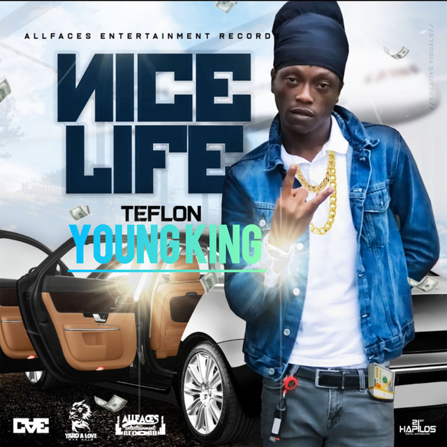 'Nice Life' cover art