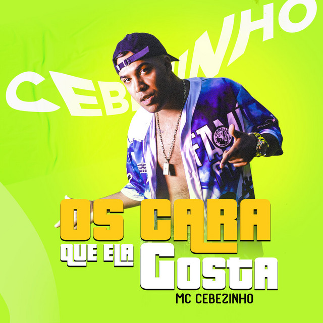 'Os Cara Que Ela Gosta' cover art