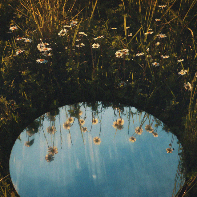 'Reflections / Blossom' cover art