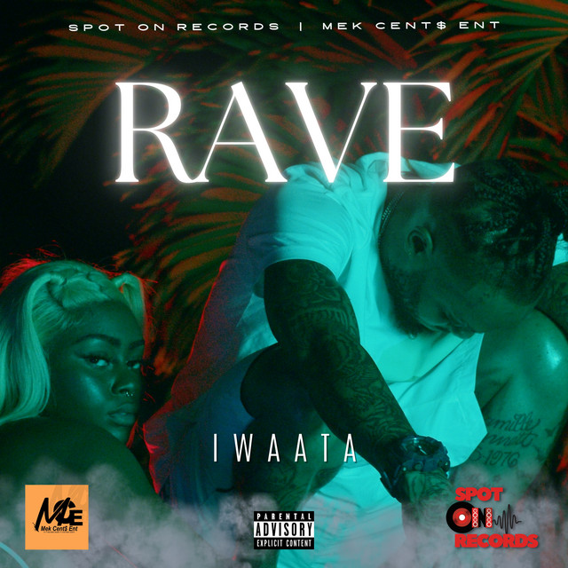 'Rave' cover art